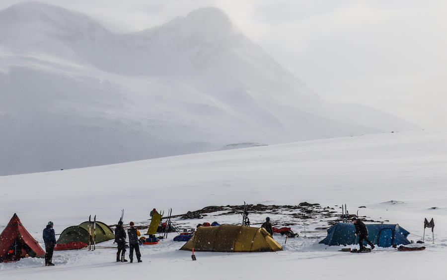 Stilhed i Sarek
