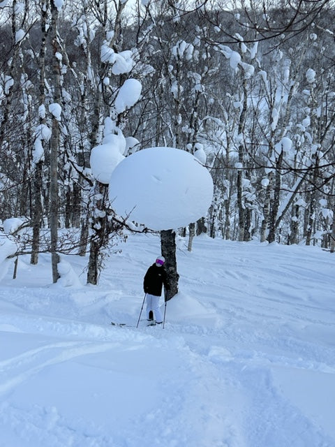 Ski adventure in Japan